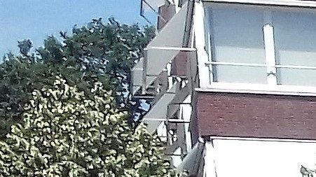 Klaar het startsein voor de wandeling.